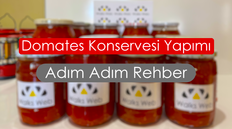 Domates Konserve Yapımı: Adım Adım Rehber